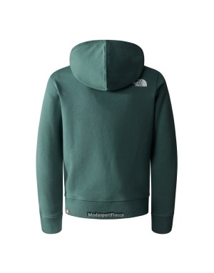 FELPA CAPPUCCIO THE NORTH FACE TEENS BOX JUNIOR