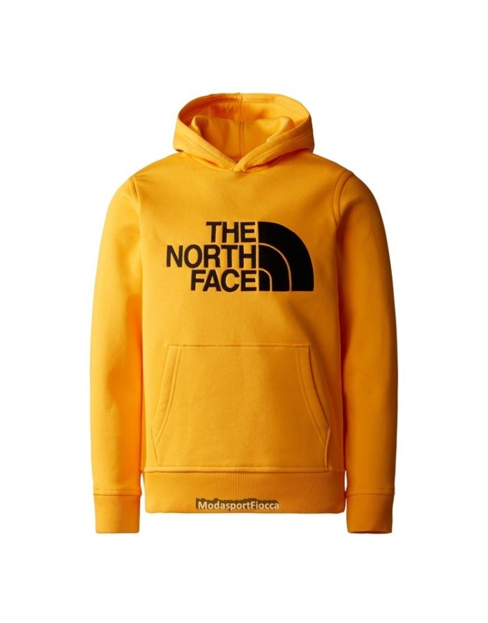 FELPA CAPPUCCIO THE NORTH FACE JUNIOR