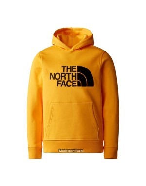 FELPA CAPPUCCIO THE NORTH FACE JUNIOR