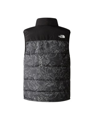 GILET THE NORTH FACE NEVER STOP PRINTED