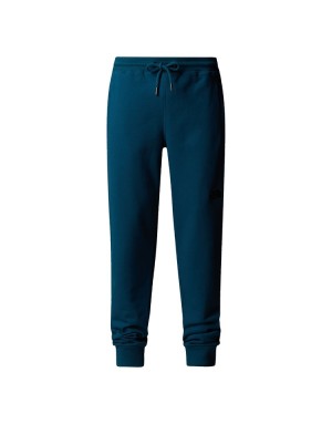 PANTALONI THE NORTH FACE NSE